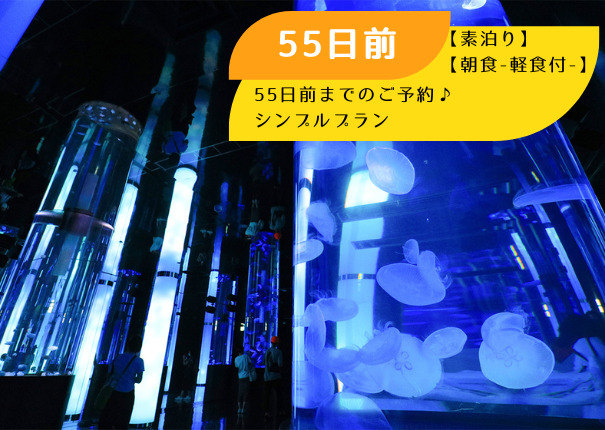 早期予約【55日前】シンプルプラン【素泊り】【朝食-軽食付-】
